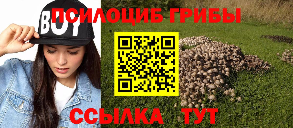 Галлюциногенные грибы Magic Shrooms Кемерово